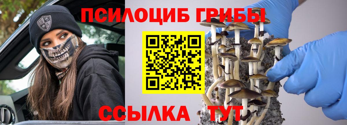 Нефтеюганск  Галлюциногенные грибы Psilocybe  Вход с VPN  Псилоцибиновые грибы GOLDEN TEACHER 